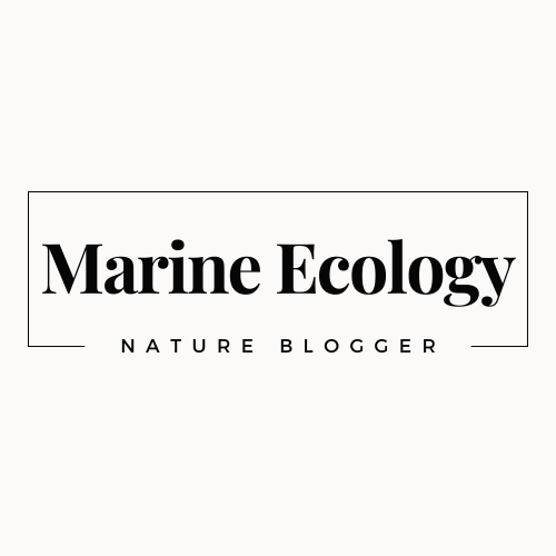 Marine Ecology Blog