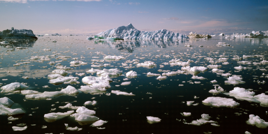 Conservation Efforts to Protect Polar Ecosystems