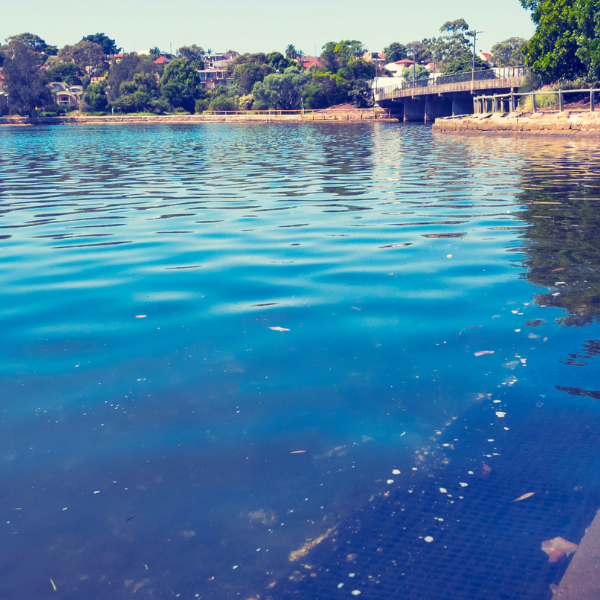 How Do Changes In Ocean Temperature Affect Marine Life?