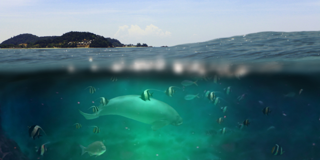 How Do The Currents Waves And Tides Affect Marine Life?