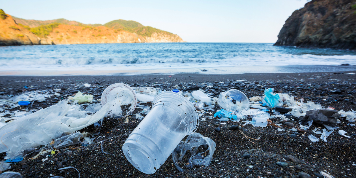 How Do Changes In Ocean Chemistry Affect Marine Life