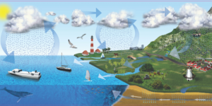 What Is The Role Of Nutrient Cycling In Maintaining Healthy Ocean Ecosystems